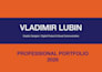 design a professional brand identity and visual system